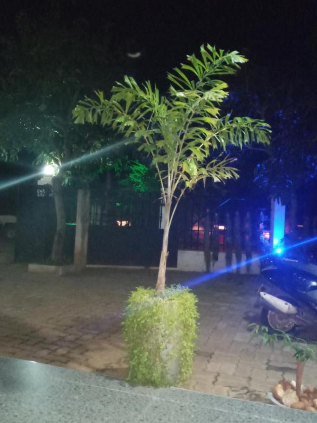 Restwell Homestay Dambulla Esterno foto